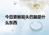 今日更新筋头巴脑是什么东西