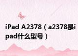 iPad A2378（a2378是ipad什么型号）