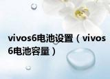 vivos6电池设置（vivos6电池容量）