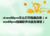vivox60pro怎么打开隐藏应用（vivox60pro隐藏软件功能在哪里）