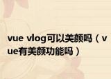 vue vlog可以美颜吗（vue有美颜功能吗）