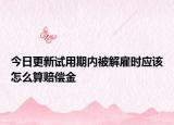今日更新试用期内被解雇时应该怎么算赔偿金