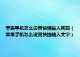 苹果手机怎么设置快捷输入密码（苹果手机怎么设置快捷输入文字）