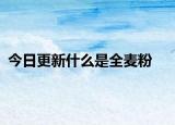 今日更新什么是全麦粉