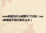 wps表格为什么调整不了行高（wps表格找不到行高怎么办）