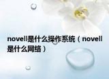 novell是什么操作系统（novell是什么网络）
