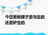 今日更新骡子是马生的还是驴生的