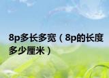 8p多长多宽（8p的长度多少厘米）