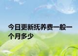 今日更新抚养费一般一个月多少