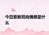 今日更新双向情感是什么