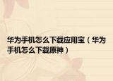 华为手机怎么下载应用宝（华为手机怎么下载原神）