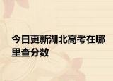 今日更新湖北高考在哪里查分数