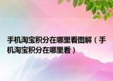 手机淘宝积分在哪里看图解（手机淘宝积分在哪里看）