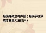 魅族媒体没有声音（魅族手机多媒体音量无法打开）