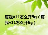 真我v11怎么开5g（真我v11怎么开5g）