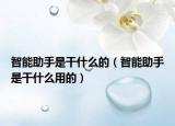 智能助手是干什么的（智能助手是干什么用的）
