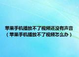 苹果手机播放不了视频还没有声音（苹果手机播放不了视频怎么办）