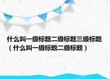 什么叫一级标题二级标题三级标题（什么叫一级标题二级标题）