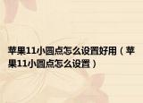 苹果11小圆点怎么设置好用（苹果11小圆点怎么设置）