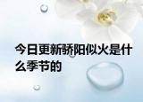 今日更新骄阳似火是什么季节的