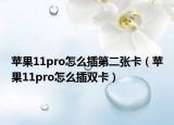 苹果11pro怎么插第二张卡（苹果11pro怎么插双卡）