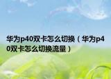 华为p40双卡怎么切换（华为p40双卡怎么切换流量）