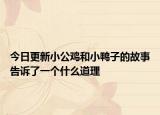 今日更新小公鸡和小鸭子的故事告诉了一个什么道理