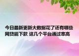 今日最新更新大数据花了还有哪些网贷能下款 这几个平台通过率高