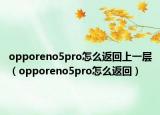 opporeno5pro怎么返回上一层（opporeno5pro怎么返回）