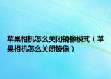 苹果相机怎么关闭镜像模式（苹果相机怎么关闭镜像）
