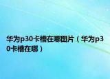 华为p30卡槽在哪图片（华为p30卡槽在哪）
