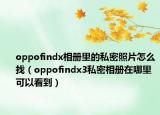 oppofindx相册里的私密照片怎么找（oppofindx3私密相册在哪里可以看到）