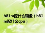 h81m配什么硬盘（h81m配什么cpu）