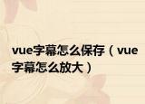 vue字幕怎么保存（vue字幕怎么放大）