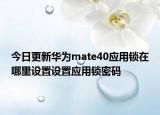 今日更新华为mate40应用锁在哪里设置设置应用锁密码