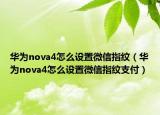 华为nova4怎么设置微信指纹（华为nova4怎么设置微信指纹支付）