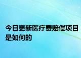 今日更新医疗费赔偿项目是如何的