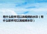有什么软件可以消视频的水印（有什么软件可以消视频水印）