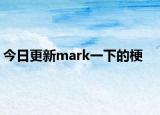 今日更新mark一下的梗