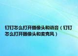 钉钉怎么打开摄像头和语音（钉钉怎么打开摄像头和麦克风）