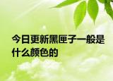 今日更新黑匣子一般是什么颜色的