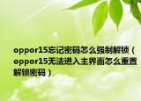oppor15忘记密码怎么强制解锁（oppor15无法进入主界面怎么重置解锁密码）