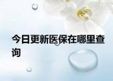 今日更新医保在哪里查询