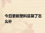今日更新塑料盆裂了怎么补