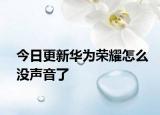 今日更新华为荣耀怎么没声音了