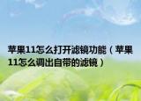 苹果11怎么打开滤镜功能（苹果11怎么调出自带的滤镜）