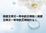 南望王师又一年中的王师指（南望王师又一年中的王师指什么）