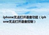 iphone无法打开语音功能（iphone无法打开语音控制）