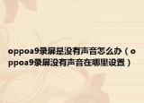 oppoa9录屏是没有声音怎么办（oppoa9录屏没有声音在哪里设置）