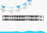 计算机中应用最普遍的字符编码是什么（计算机中应用最普遍的字符编码是什么）